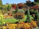 Parcuri condamnate la betonare, Mafia ataca parcurile, parcul bazilescu, parcul circului, parcul ior bucuresti, parcul bordei, parcul operei bucuresti, ordonanta 114   