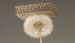 Tehnologie, Material,  Metal, Usor, Nanotehnologie, Microtehnologie