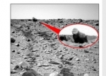 Viata pe Marte - Gorila uriasa cu spatele argintiu, fotografiata pe Marte de un robot NASA 
