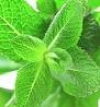 Cardiopatia ischemica, Dureri miocardice, Boli de inima, Diete naturiste