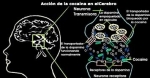 LAZAR EDELEANU, benzedrina, Procedeu Edeleanu, acizi fenilmetacrilici şi fenilizobutirici